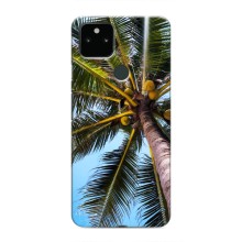 Силиконовый чехол с КАРТИНКАМИ лето для Google Pixel 5 (AlphaPrint) (Пальма)