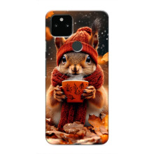Печатный чехол «Зверята с кофе» для Google Pixel 5 – Белка с кофе