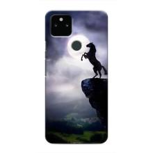 Чехлы с изображением разных животных для Google Pixel 5a 5G (Лошадь)