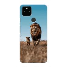 Чехол Король лев на Гугл Пиксель 5а – Мусафа и Симба