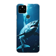 Чехол с картинкой «Хищники» для Google Pixel 5a 5G – Акула