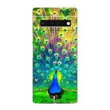 Чехол с птицами на Google Pixel 6 Pro (VPrint) (Яркий Павлин)