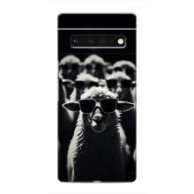 Чехол с принтом стильные животные для Гугл Пиксель 6 Про (Овечка в очках)