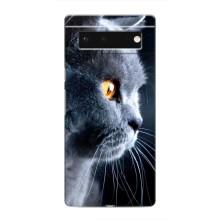 Чехлы с Котиками для Google Pixel 6 (VPrint) (Серый Кот)