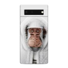 Чохли з Мавпами NFT для Google Pixel 6 (AlphaPrint)