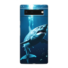 Чехол с картинкой «Хищники» для Google Pixel 6 – Акула