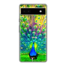 Чохол з пташками на Google Pixel 6a (VPrint) (Яскравий Павлин)
