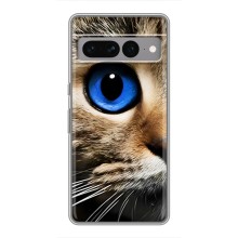 Чехлы с Котиками для Google Pixel 7 Pro (VPrint) (Глаз кота)