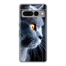 Чехлы с Котиками для Google Pixel 7 Pro (VPrint) (Серый Кот)