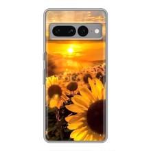 Чохол з Квітами для Google Pixel 7 Pro (поле соняшників)