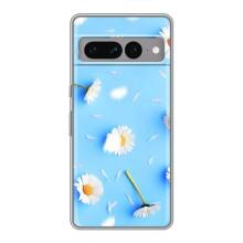 Чохол з Квітами для Google Pixel 7 Pro (ромашки на блакитному)