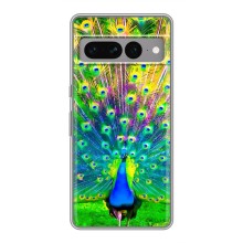 Чехол с птицами на Google Pixel 7 Pro (VPrint) (Яркий Павлин)