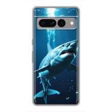 Чехол с картинкой «Хищники» для Google Pixel 7 Pro – Акула