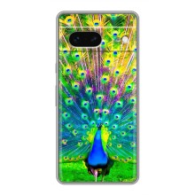 Чехол с птицами на Google Pixel 7 (VPrint) (Яркий Павлин)