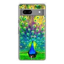 Чохол з пташками на Google Pixel 7A (VPrint) (Яскравий Павлин)