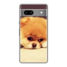 Чехол (ТПУ) Милые собачки для Google Pixel 7A (Померанский шпиц)
