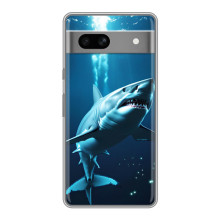 Чехол с картинкой «Хищники» для Google Pixel 7A – Акула