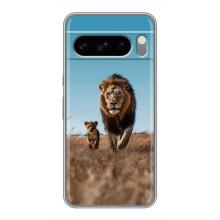 Чехол Король лев на Гугл пиксель 8 Про (Мусафа и Симба)