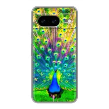 Чохол з пташками на Google Pixel 8 (VPrint) (Яскравий Павлин)