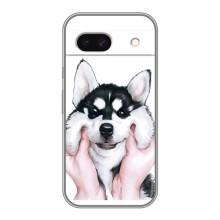 Бампер для Google Pixel 8A с картинкой "Песики" – Собака Хаски