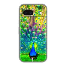 Чехол с птицами на Google Pixel 8A (VPrint) (Яркий Павлин)