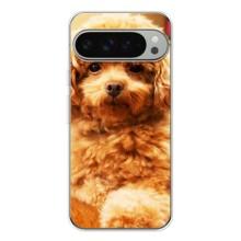 Чехлы с собаками для Google Pixel 9 Pro XL (VPrint) (Щенок Бишон)