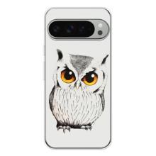 Чехол с птицами на Google Pixel 9 Pro XL (VPrint) (Милая Сова)