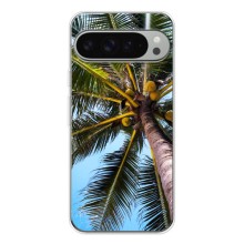 Силиконовый чехол с КАРТИНКАМИ лето для Google Pixel 9 Pro XL (AlphaPrint) (Пальма)