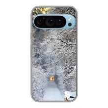 Чехлы на Новый Год Google Pixel 9 Pro – Заметель