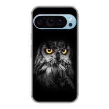 Чохли з принтом СОВИ для Google Pixel 9 Pro – Сова на чорному