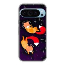 Чехол с Лисичкой для Google Pixel 9 Pro – Лисы