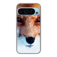 Чехол с Лисичкой для Google Pixel 9 Pro – Рыжая Лисичка