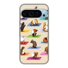 Чехол с Прикольным принтом на Google Pixel 9 Pro – Ёга свинок