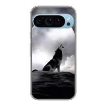 Чохол з Вовком на Google Pixel 9 Pro – Вовк і місяць