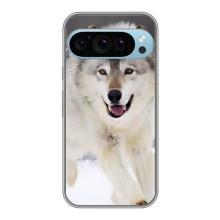 Чохол з Вовком на Google Pixel 9 Pro – Вовк біжить по снігу