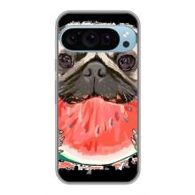 Чохол (ТПУ) Милі песики для Google Pixel 9 Pro – Смішний Мопс