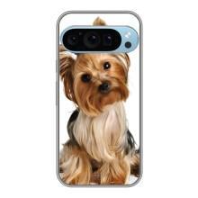Чохол (ТПУ) Милі песики для Google Pixel 9 Pro – Пес Терьєр