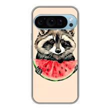 Силиконовый Чехол с Енотами на Google Pixel 9 Pro – Енот