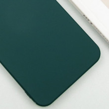 Чохол Silicone Cover Lakshmi (AA) with MagFit для Google Pixel 9 / 9 Pro – Зелений