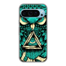 Чехол с птицами на Google Pixel 9 (VPrint) (Сова с глазом)