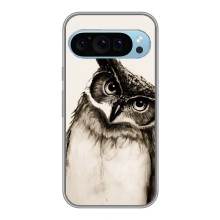 Чехол с птицами на Google Pixel 9 (VPrint) (Сова)