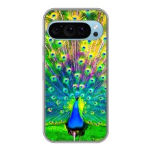 Чехол с птицами на Google Pixel 9 (VPrint) (Яркий Павлин)
