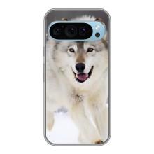 Чохол з Вовком на Google Pixel 9 – Вовк біжить по снігу