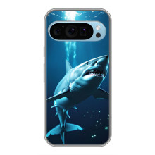 Чехол с картинкой «Хищники» для Google Pixel 9 – Акула