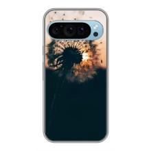 Силиконовый Чехол с одуванчиками на Google Pixel 9 – Красивый одуванчик