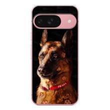 Чехлы с картинками животных Google Pixel 9A (Овчарка)