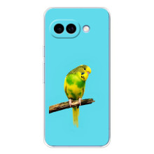 Силиконовый чехол с птичкой на Google Pixel 9A – Попугайчик