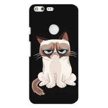 Чехол на тематику: Коты для Google Pixel XL – Взгляд кота