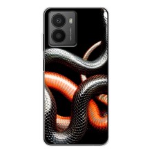 Чехлы с изображением разных животных для HMD Fusion (Змея)