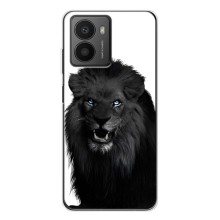 Чехлы с картинками животных HMD Fusion